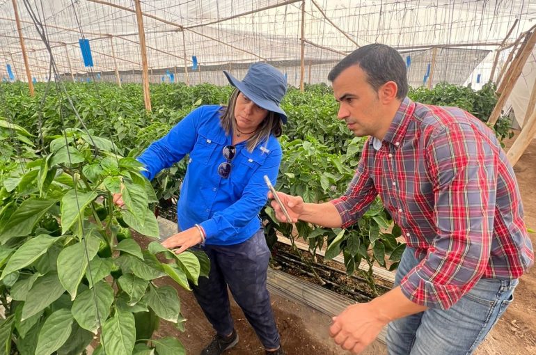 Agricultores fortalecen sus negocios con economía circular