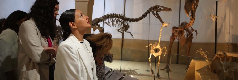 Museo Nacional de Historia Natural inaugura muestra que exhibe los fósiles originales de cinco dinosaurios chilenos