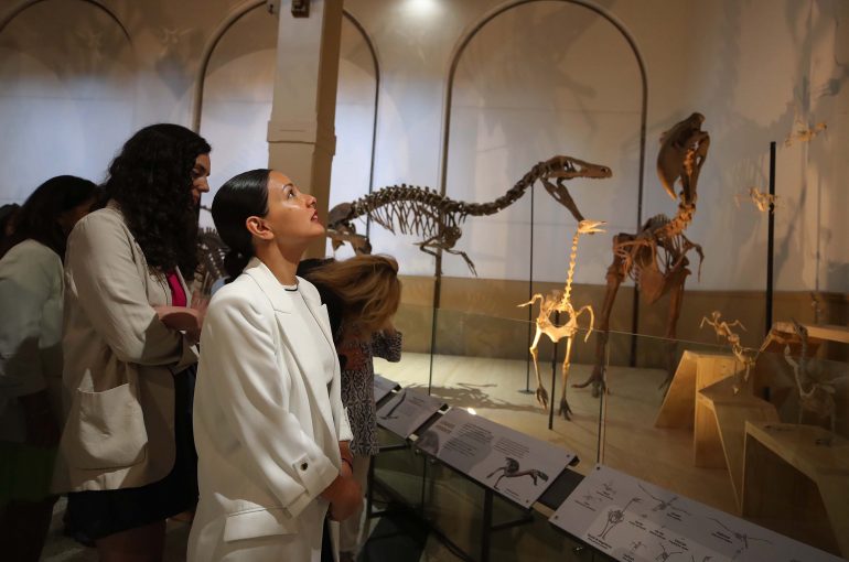 Museo Nacional de Historia Natural inaugura muestra que exhibe los fósiles originales de cinco dinosaurios chilenos